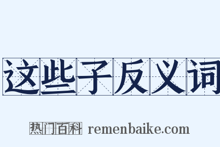 这些子反义词是什么意思的图片